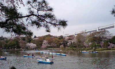 松と桜