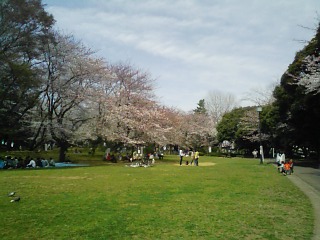 千葉公園_遠景