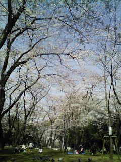 千葉公園_遠景２