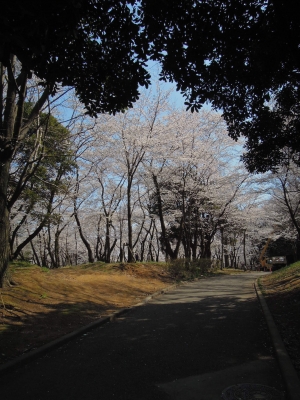 遊歩道